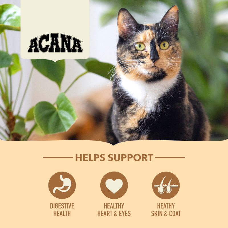 Acana Homestead Harvest Chicken with Turkey Adult Cat Food – key benefits graphic (shop online South Africa)
