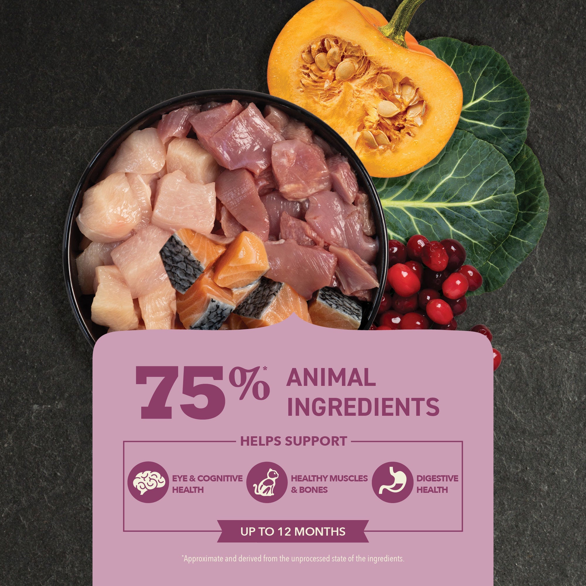 Acana Highest Protein Kitten Dry Cat Food