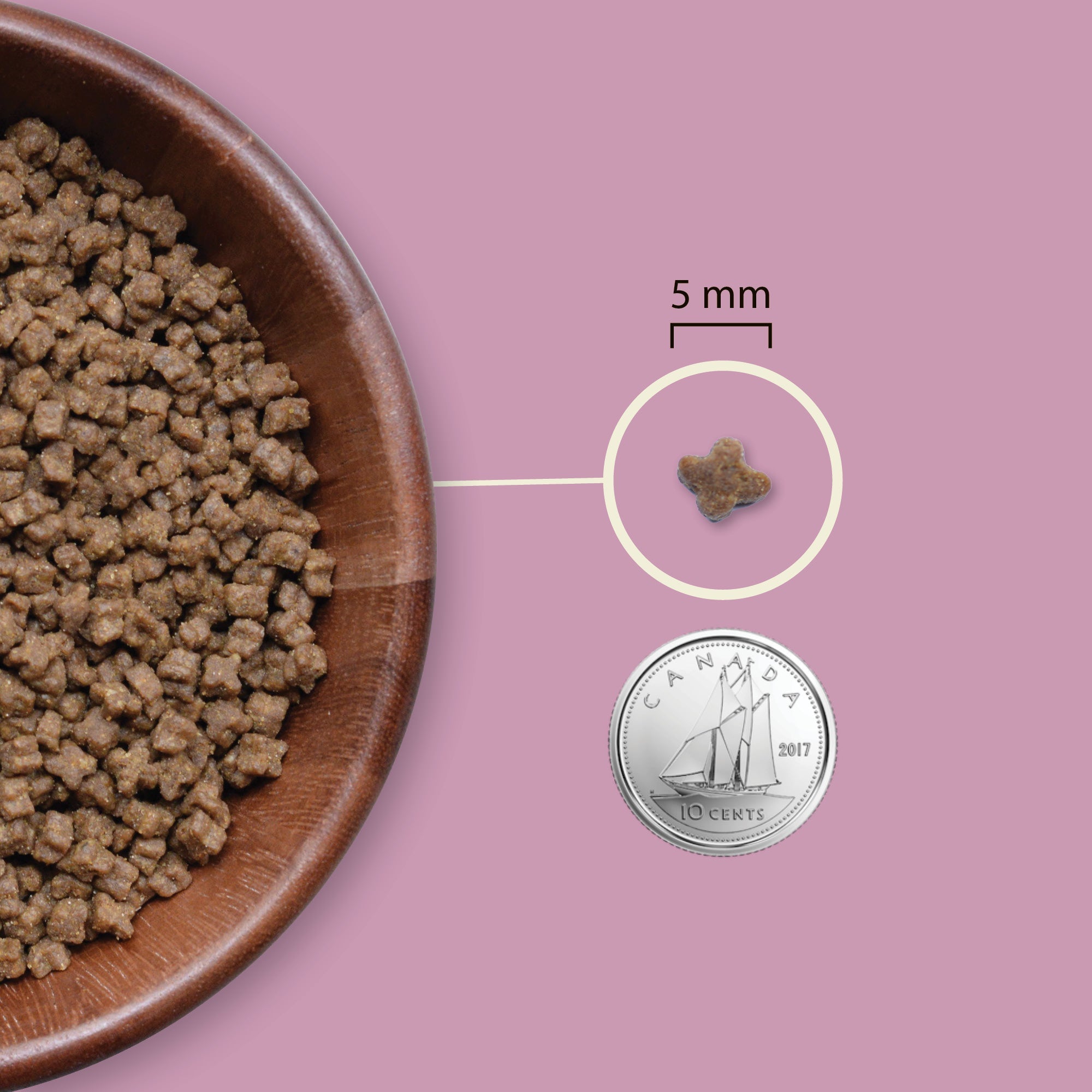 Acana Highest Protein Kitten Dry Cat Food