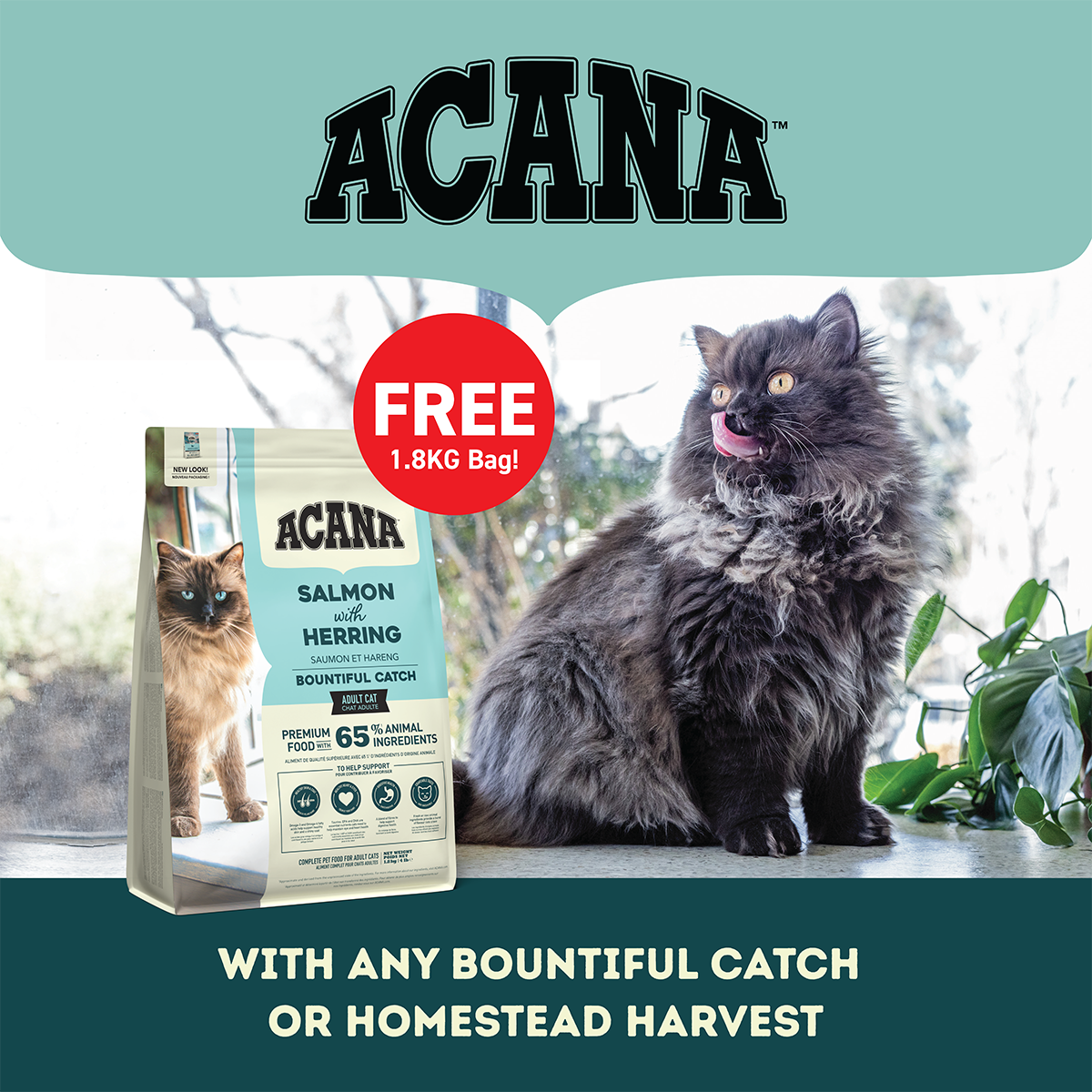 FREE 1.8kg Acana Bountiful Catch