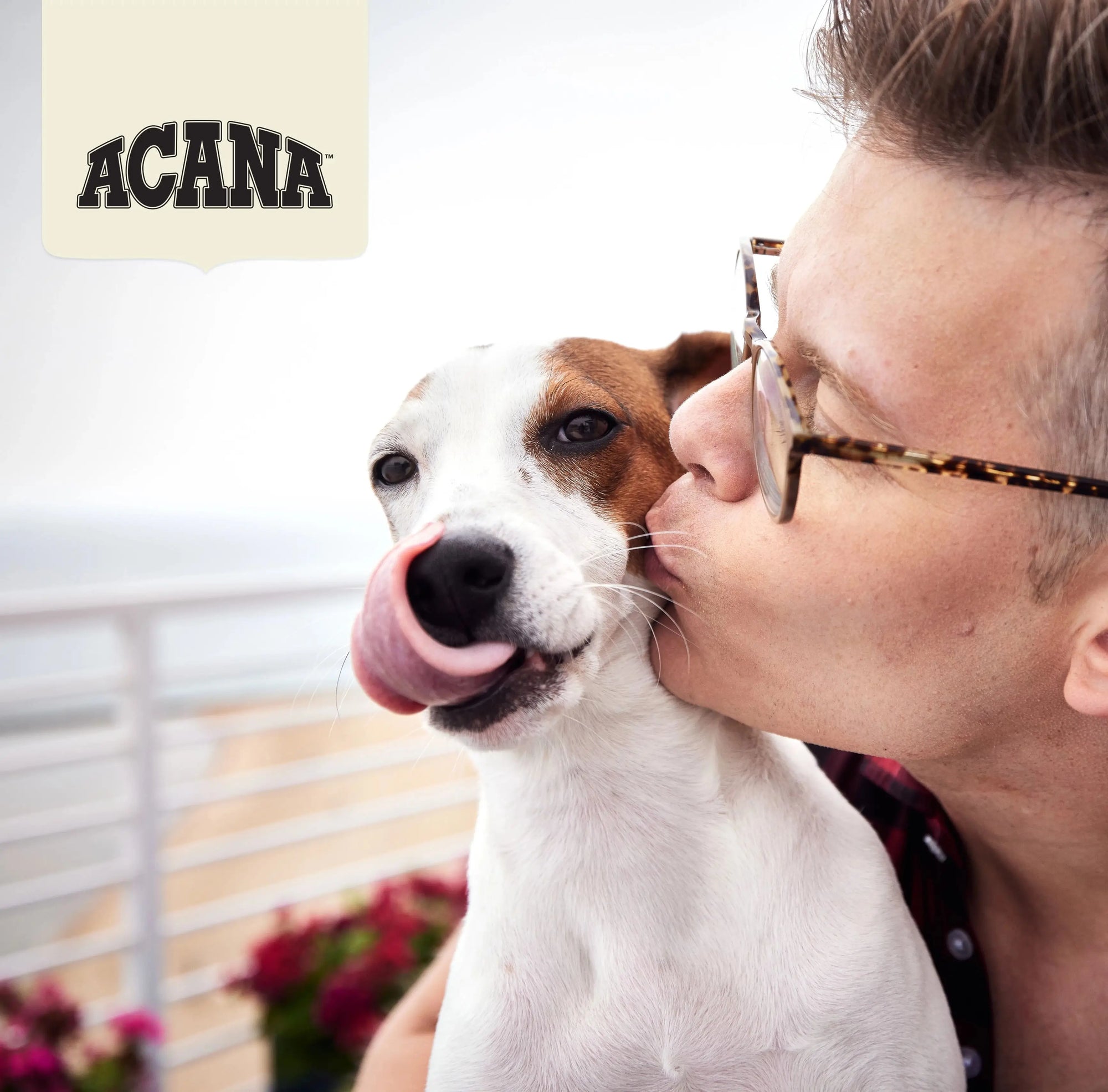 Canine & Co