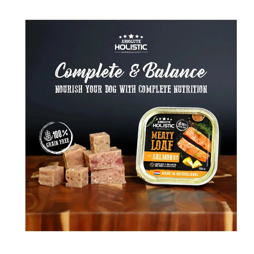 Absolute Holistic Meaty Loaf Salmon Wet Dog Food Can   | Canine & Co