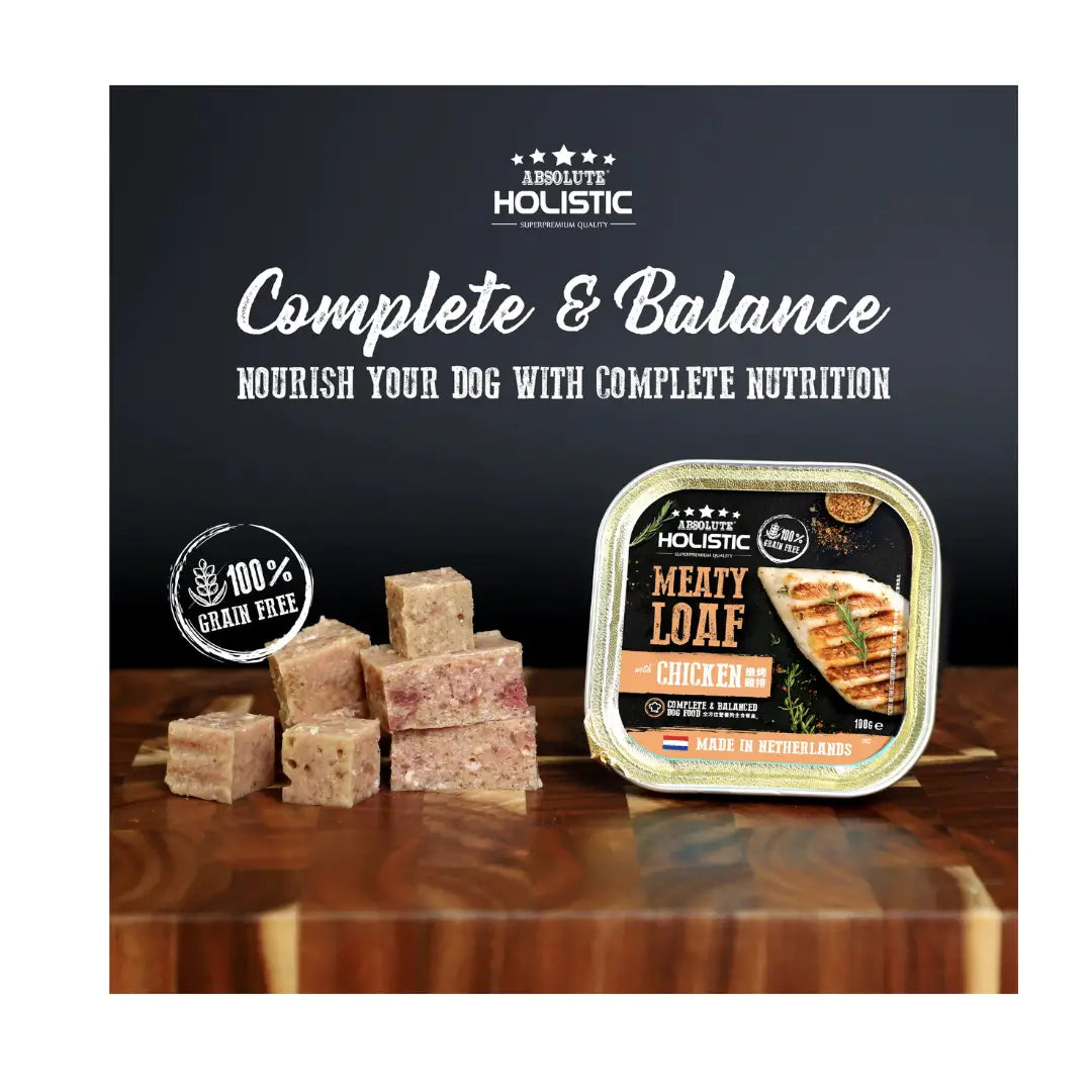 Absolute Holistic Meaty Loaf Chicken Wet Dog Food Can