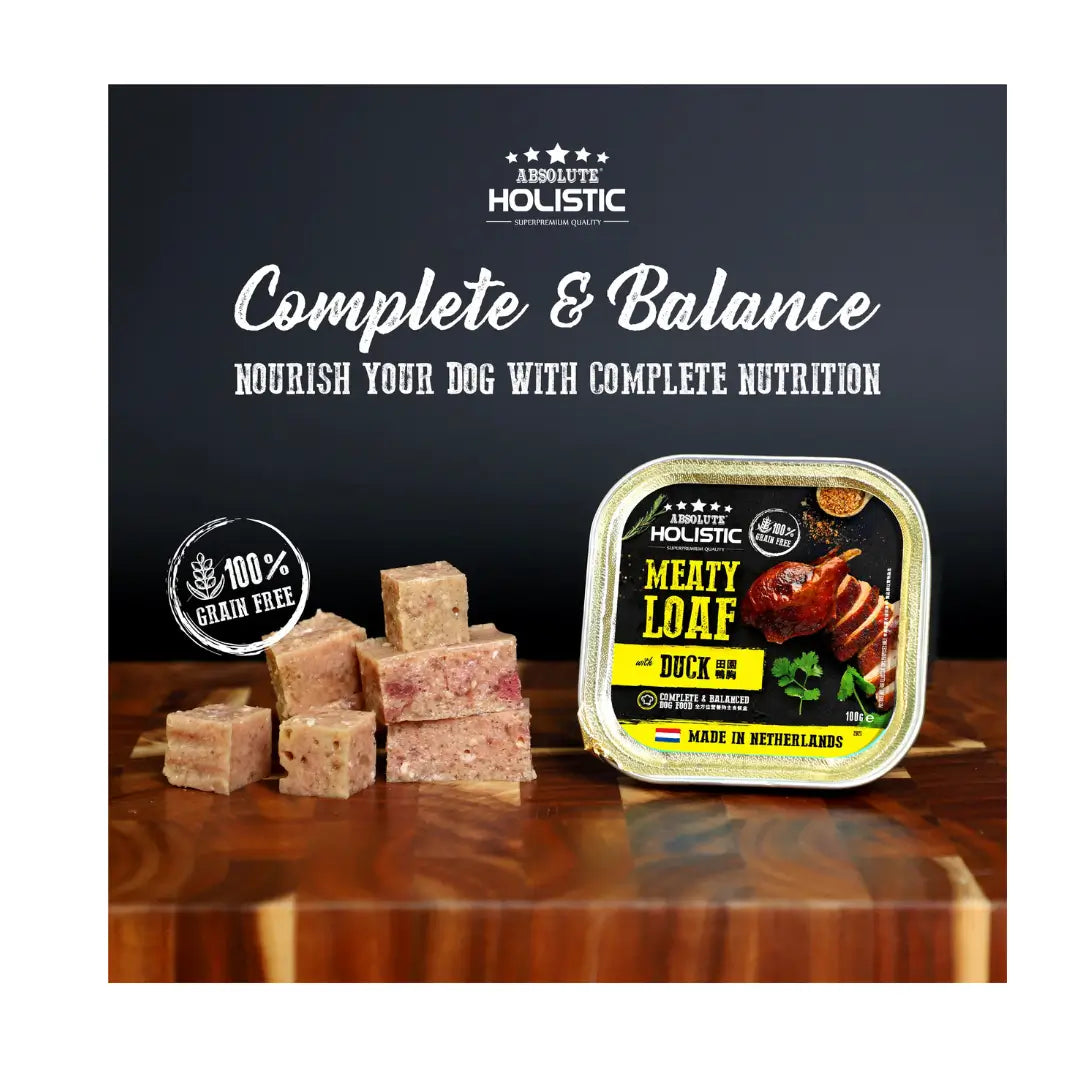 Absolute Holistic Meaty Loaf Duck Wet Dog Food Can