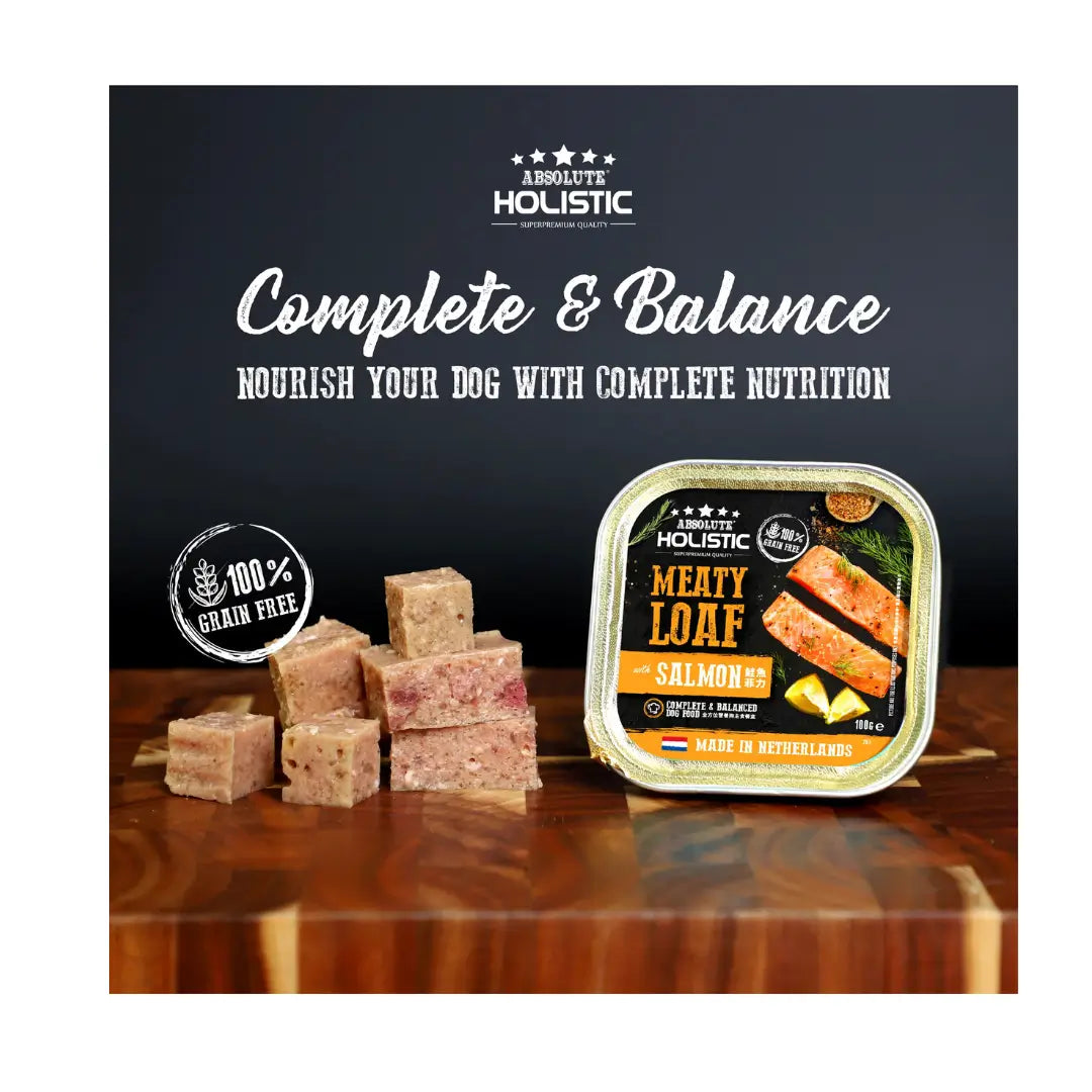 Absolute Holistic Meaty Loaf Salmon Wet Dog Food Can