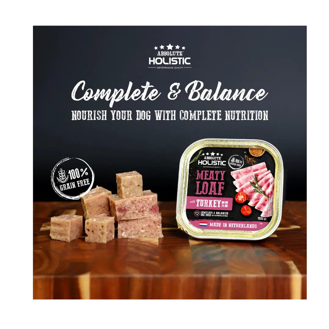 Absolute Holistic Meaty Loaf Turkey Wet Dog Food Can