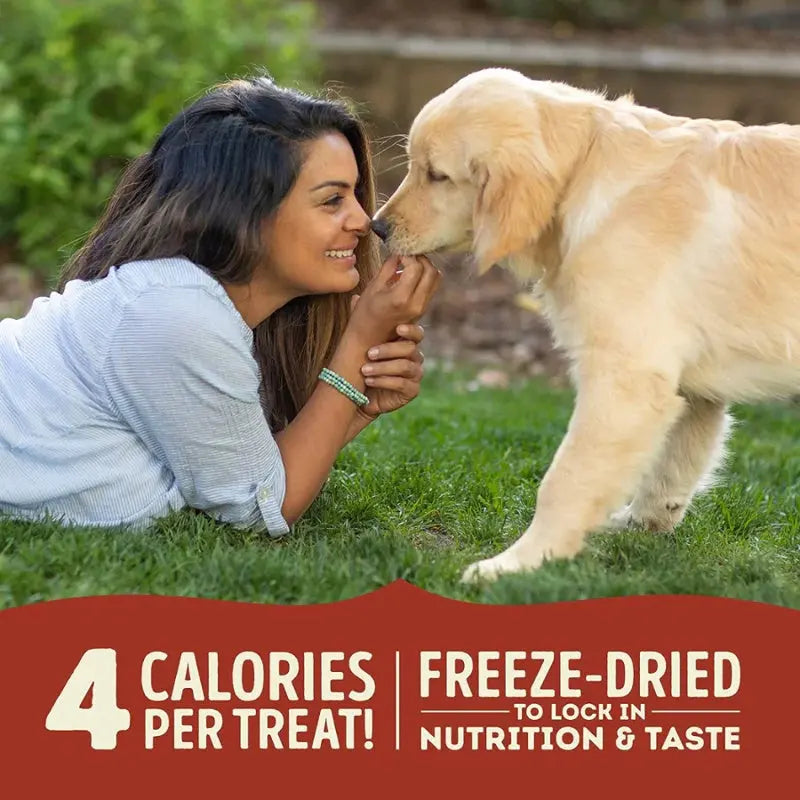 Woman playing with a golden retriever puppy outdoors, showcasing freeze-dried treats with low calories.