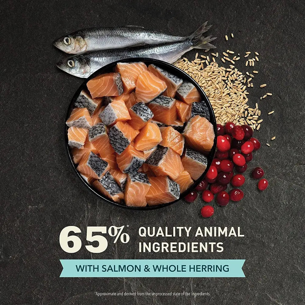 Quality animal ingredients featuring salmon, whole herring, and grains on a dark stone background.