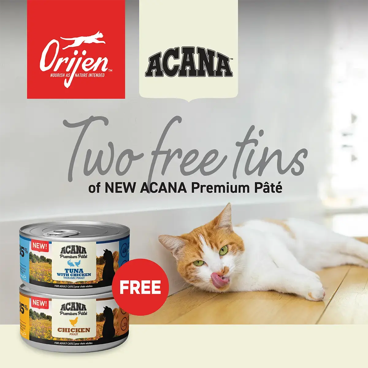 Acana Cat Pâté Free Stock - 85g   | Canine & Co