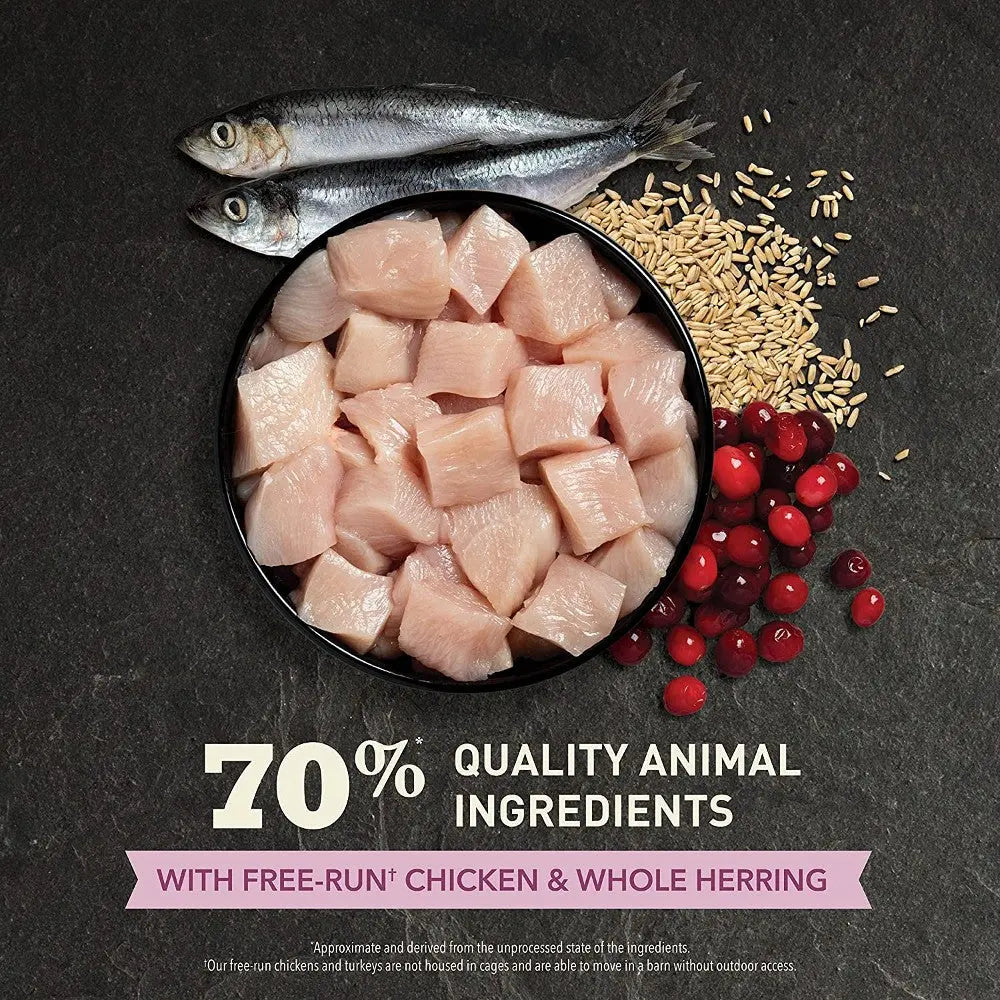 Quality animal ingredients: 70% free-run chicken and whole herring with grains and berries in a bowl.