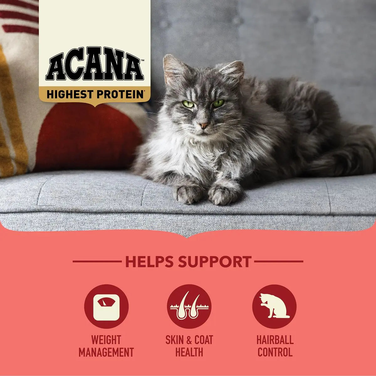 Acana Highest Protein Indoor Dry Cat Food   | Canine & Co