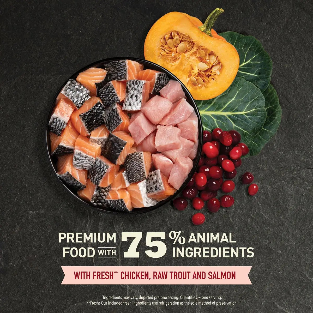 Acana Highest Protein Indoor Dry Cat Food   | Canine & Co