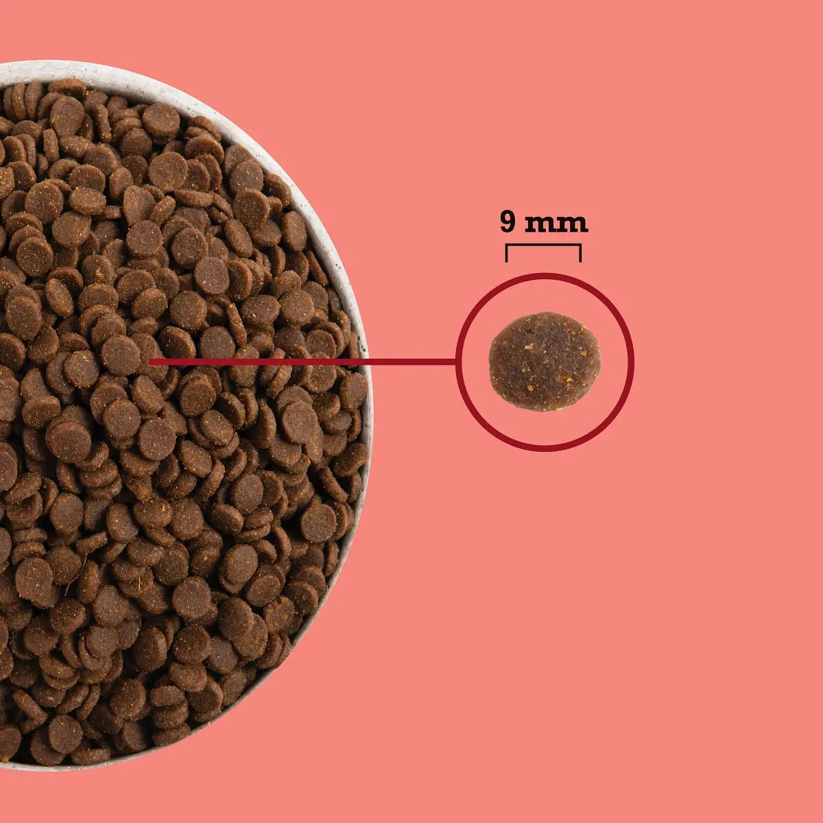 Acana Highest Protein Indoor Dry Cat Food   | Canine & Co