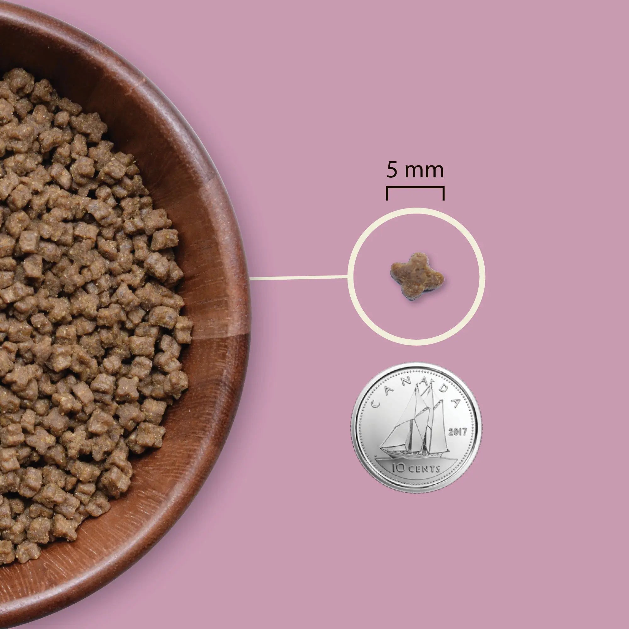 Acana Highest Protein Kitten Dry Cat Food   | Canine & Co