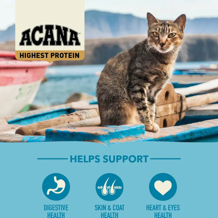 Cat on a dock with Acana pet food packaging highlighting digestive, skin, and heart health benefits.