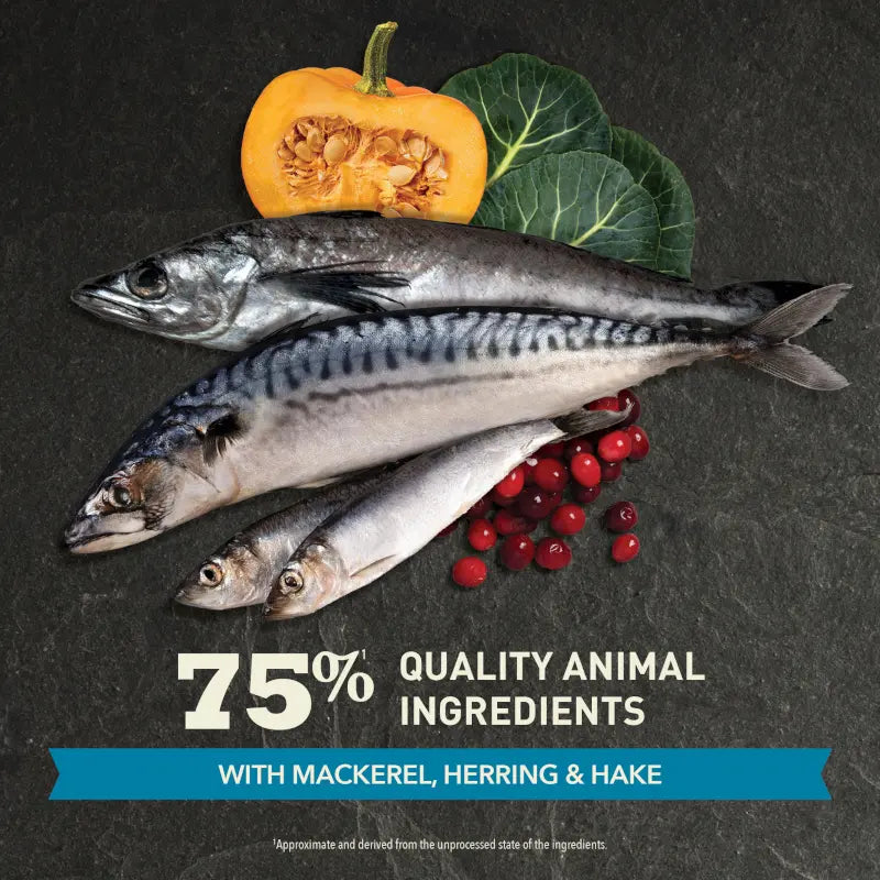 Fresh mackerel, herring, and hake with pumpkin and cranberries, highlighting 75% quality animal ingredients.