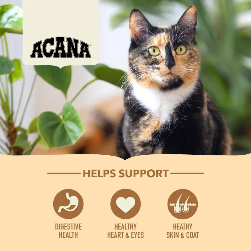 Calico cat with ACANA branding, highlighting digestive health, heart, eyes, skin, and coat support.
