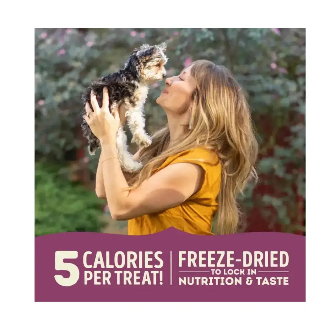 Acana Lamb & Apple Freeze Dried Dog Treats   | Canine & Co