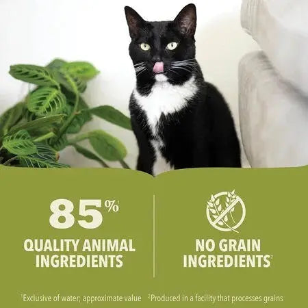 Black and white cat with a playful expression beside a grain-free pet food label highlighting quality ingredients.