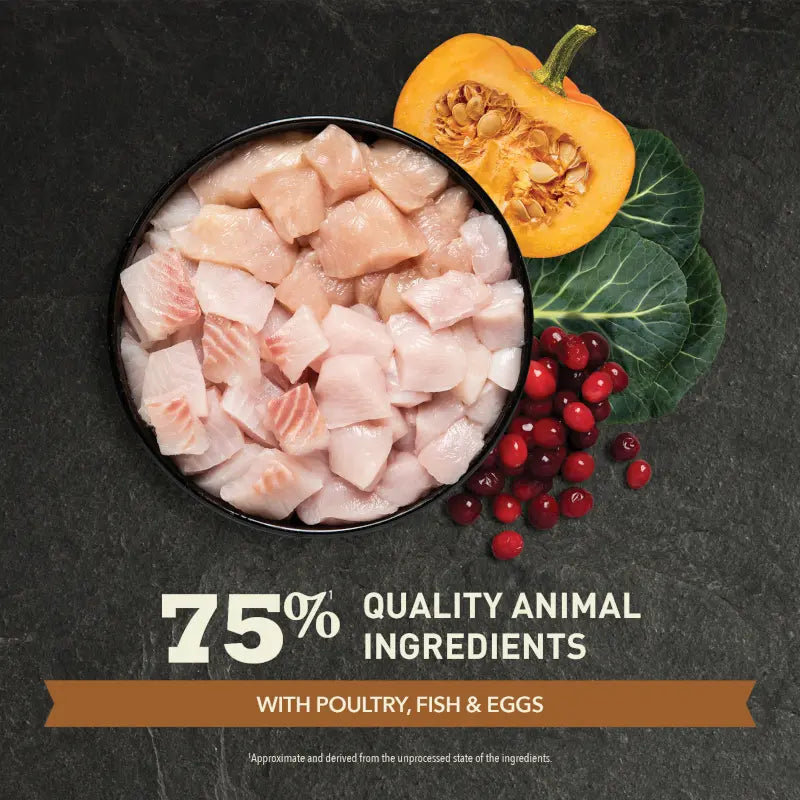 Bowl of fresh fish chunks with pumpkin and cranberries, highlighting 75% quality animal ingredients.