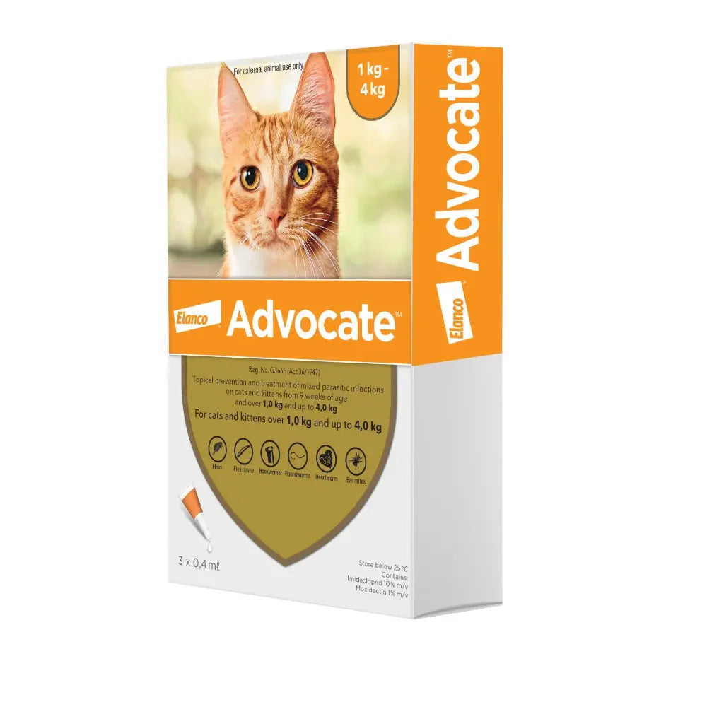 Advocate cat treatment packaging for flea and tick prevention, suitable for cats over 1 kg.