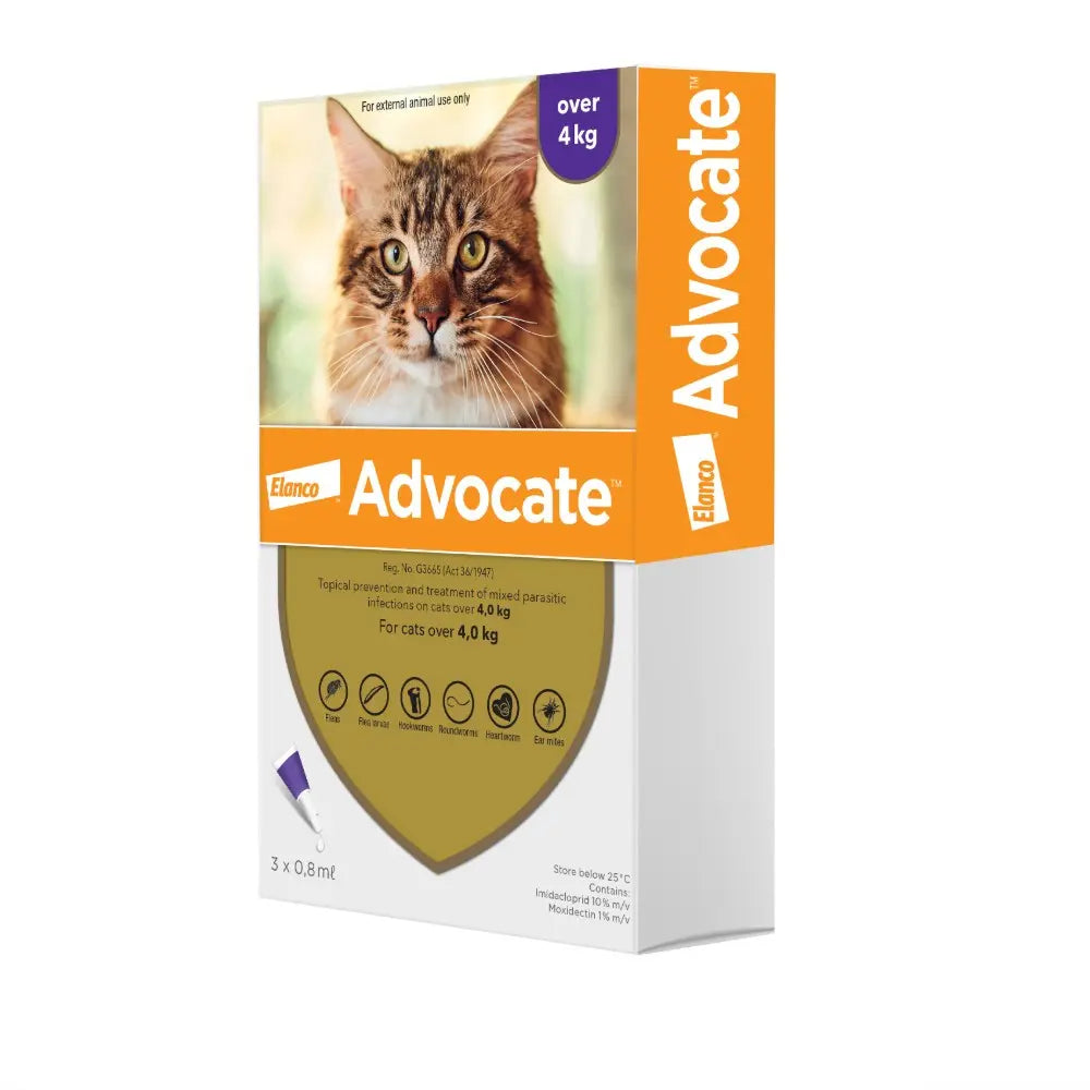Advocate cat treatment packaging for cats over 4 kg, featuring a clear label and dosage information.