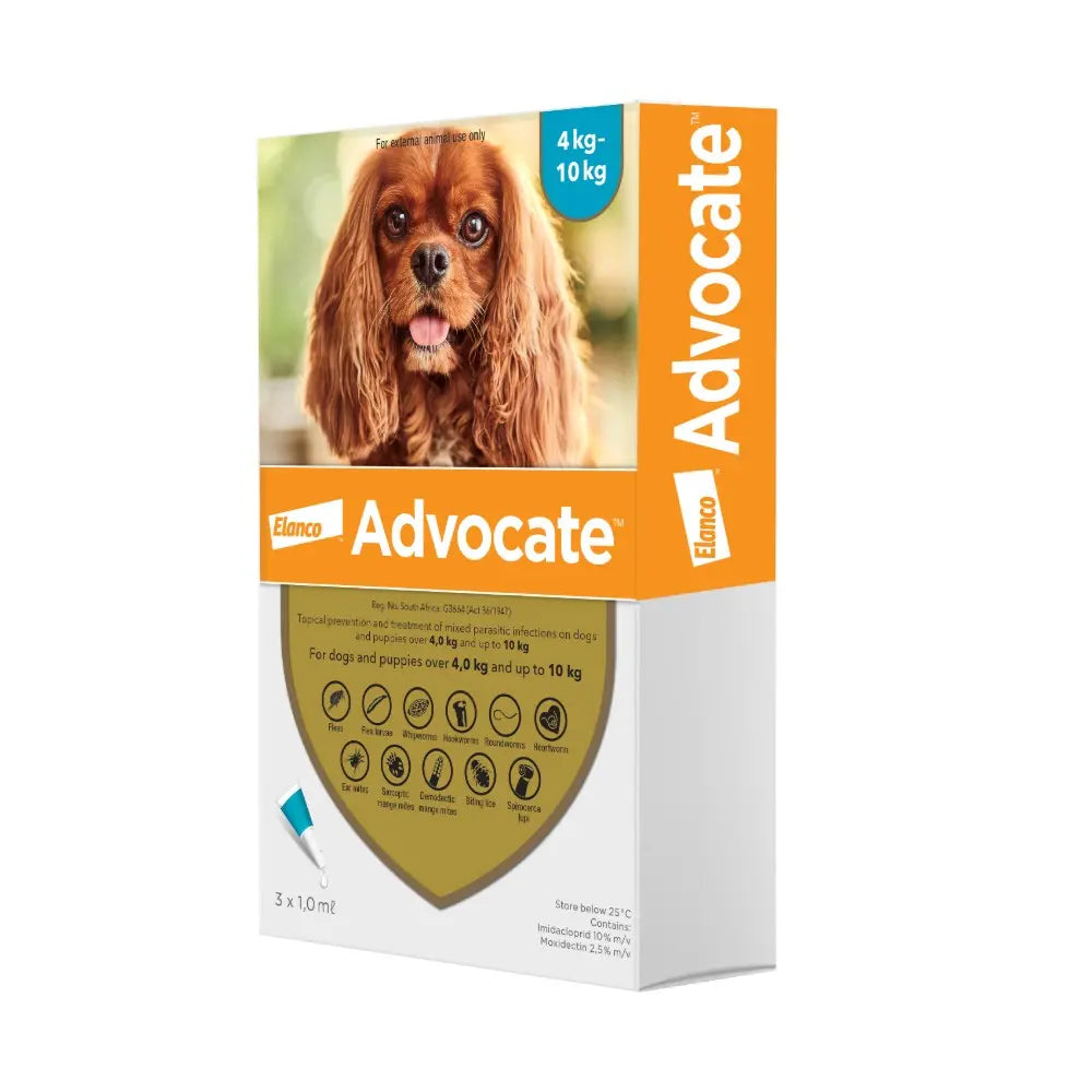 Advocate dog treatment packaging for 4-10 kg dogs, featuring a Cavalier King Charles Spaniel.