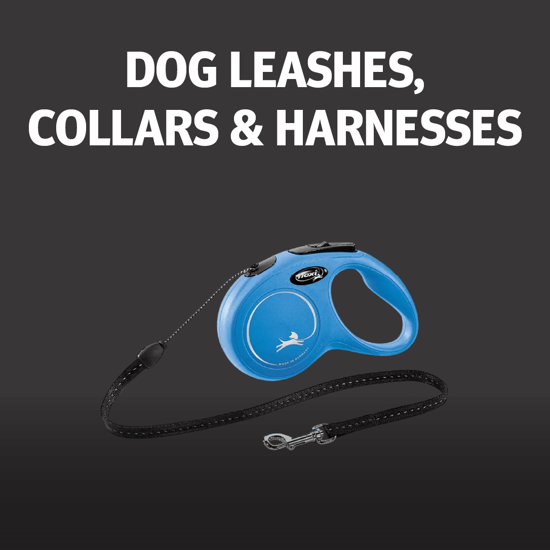 Leashes, Collars & Harnesses