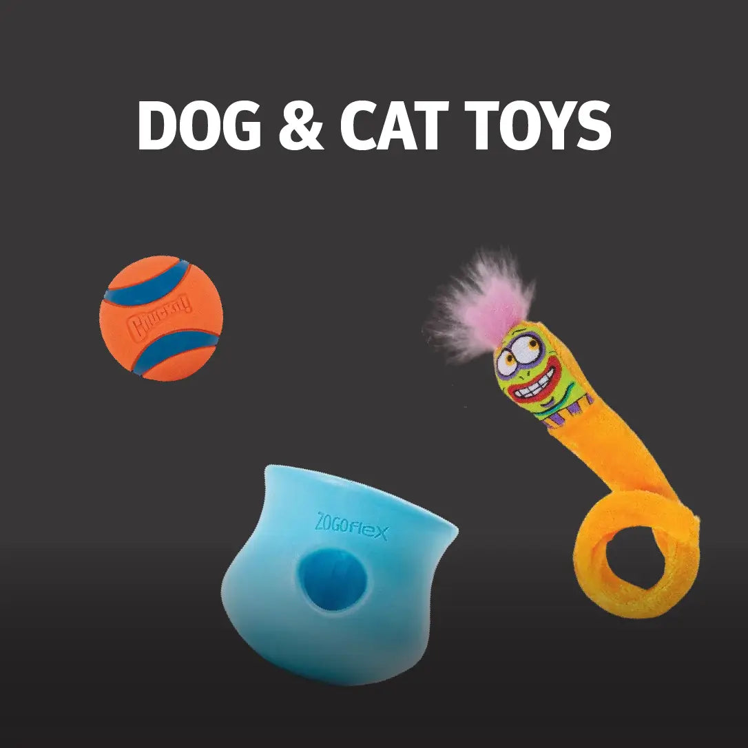 Dog and Cat Toys