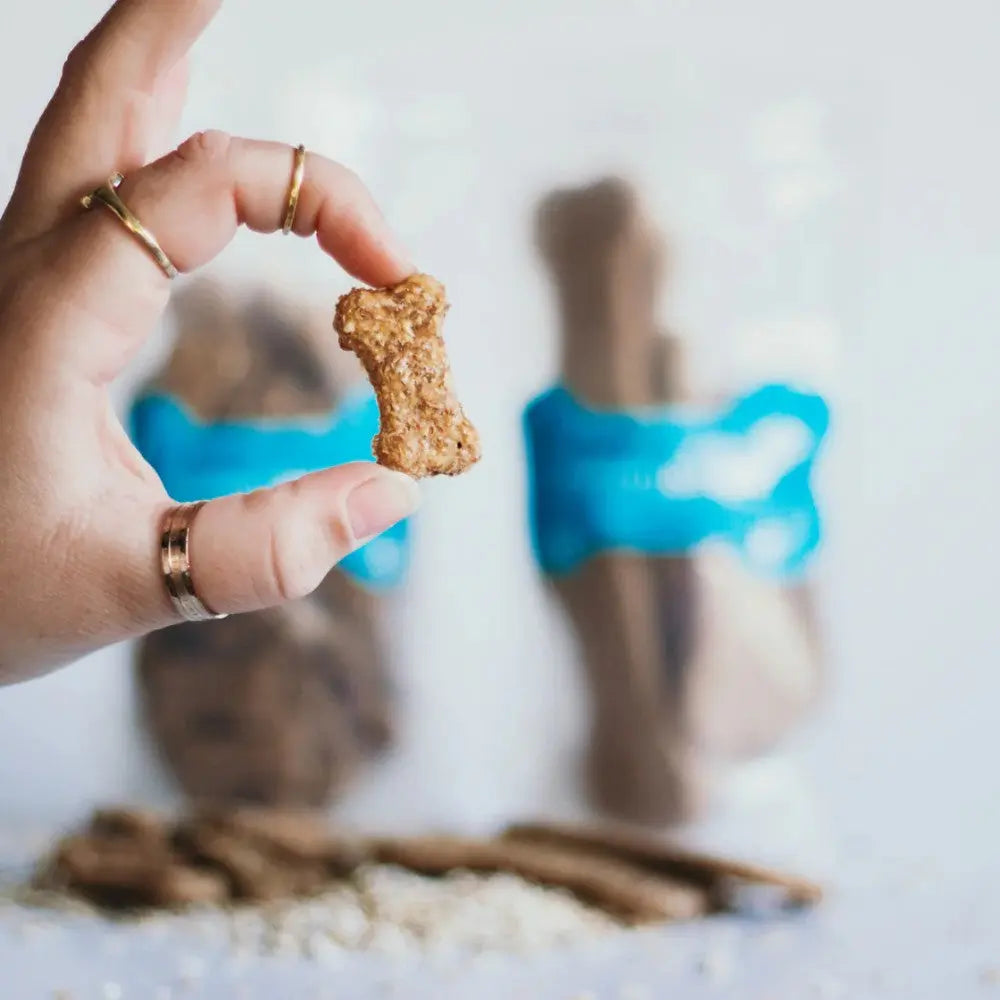 Hand holding a dog treat with packaged snacks in the background, showcasing healthy pet food options.