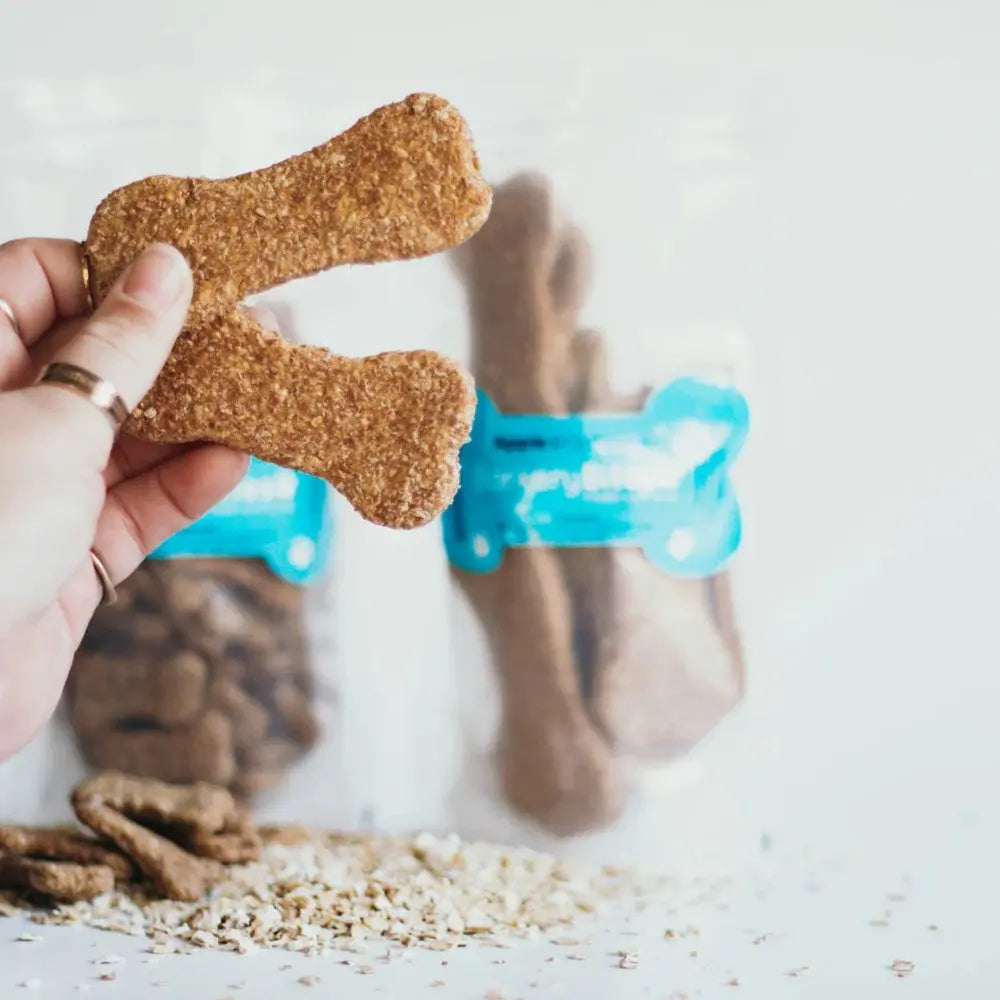 Hand holding a dog bone treat with packaged snacks in the background.