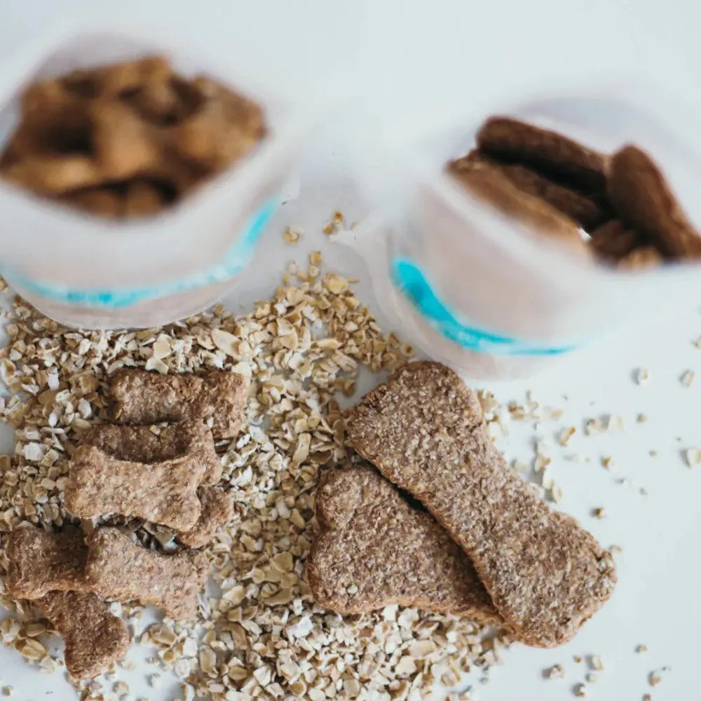 Dog treats in bone shapes surrounded by oats and pet food in clear containers.