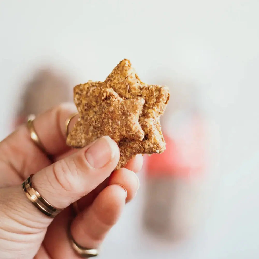 Hand holding a star-shaped dog treat made from natural ingredients.