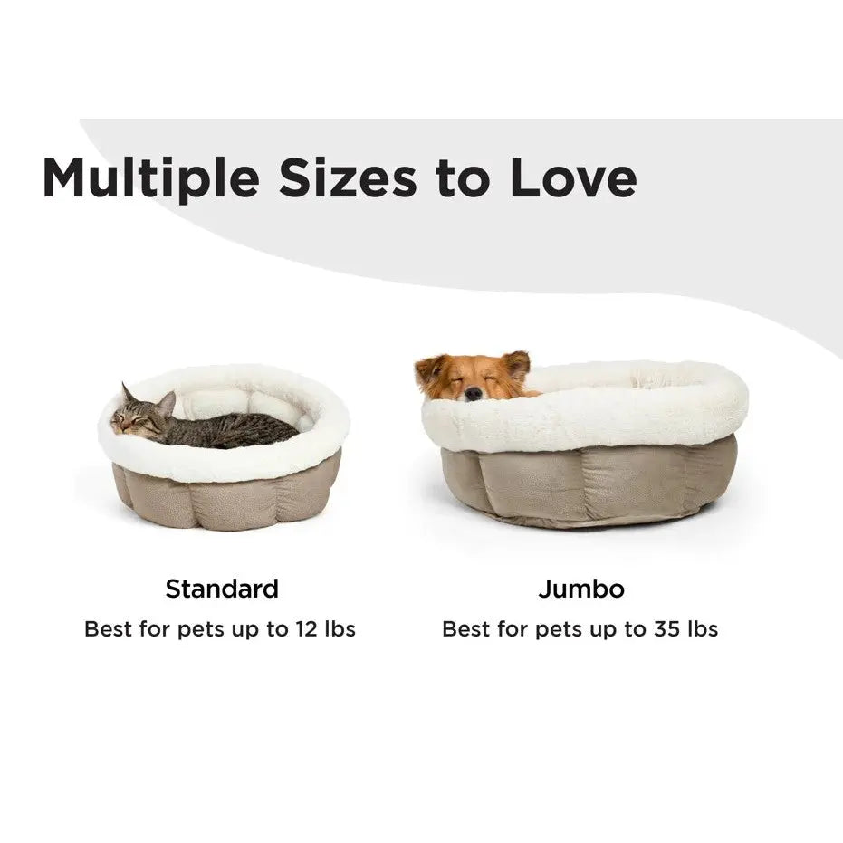 Cozy pet beds in standard and jumbo sizes, perfect for small to medium pets.