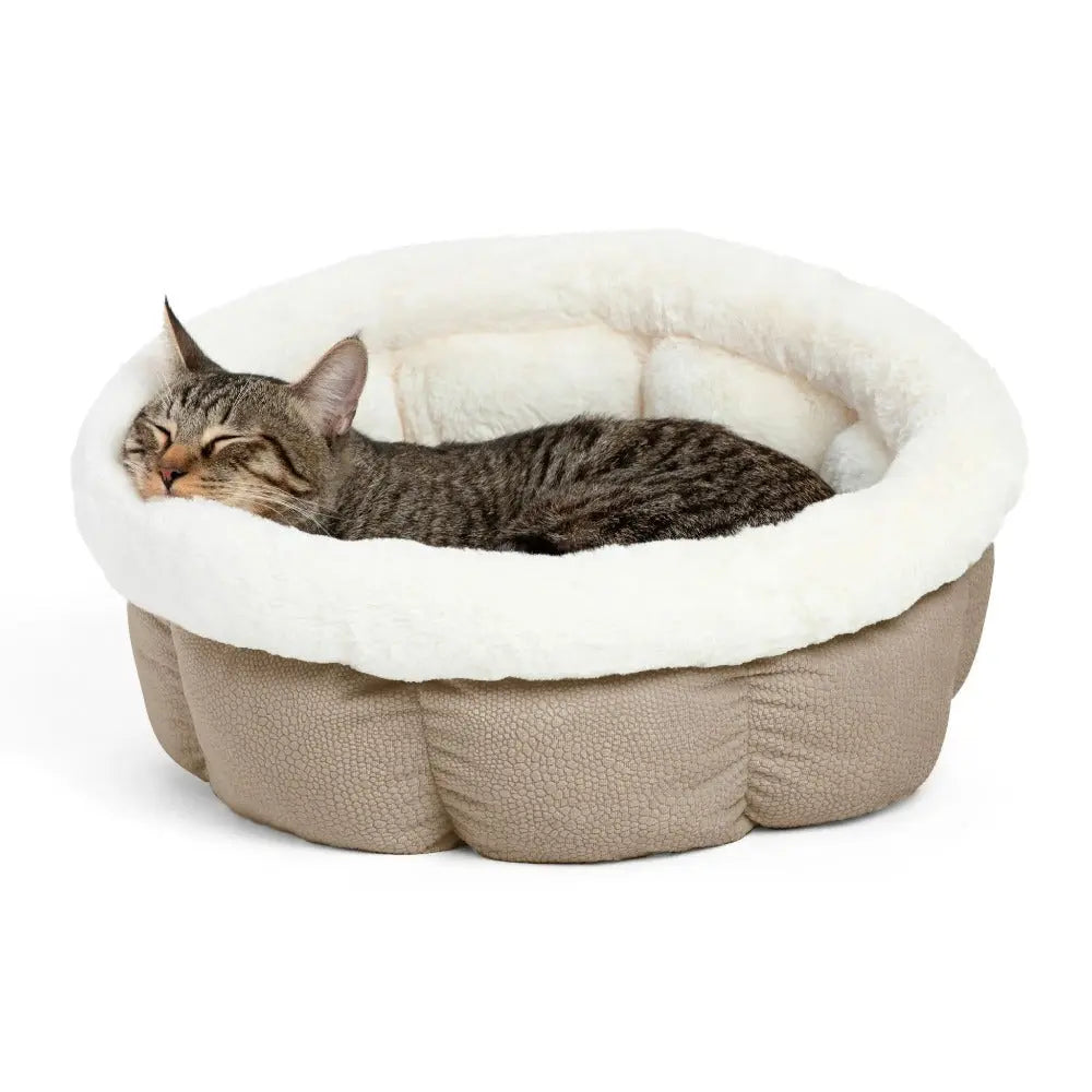 Cozy cat bed with soft lining, perfect for a comfortable nap for your feline friend.