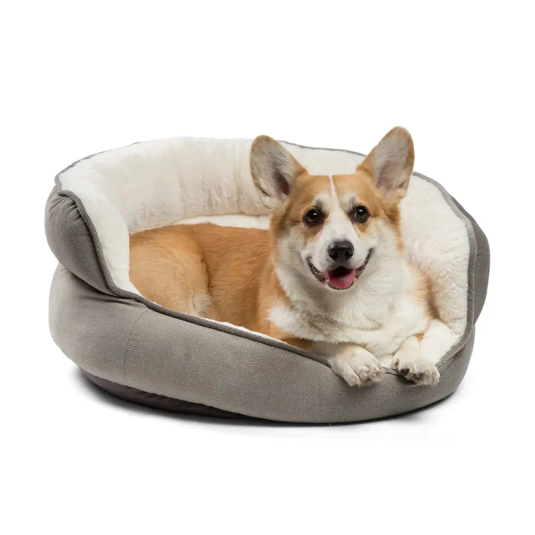 Best Friends by Sheri Throne Ilan   | Canine & Co