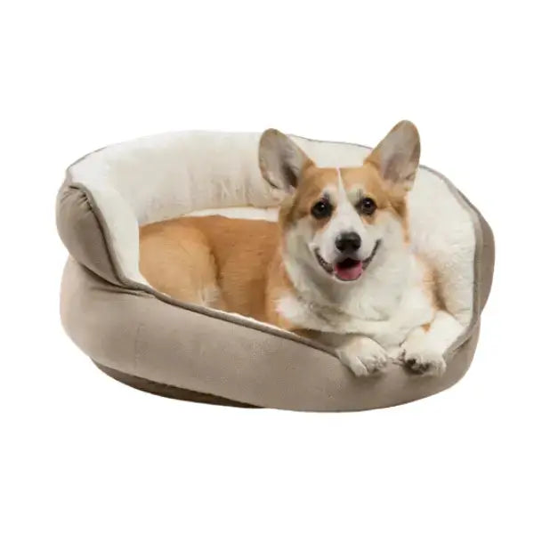 Best Friends by Sheri Throne Ilan   | Canine & Co
