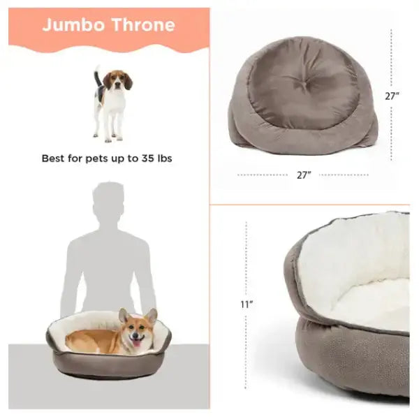 Best Friends by Sheri Throne Ilan   | Canine & Co