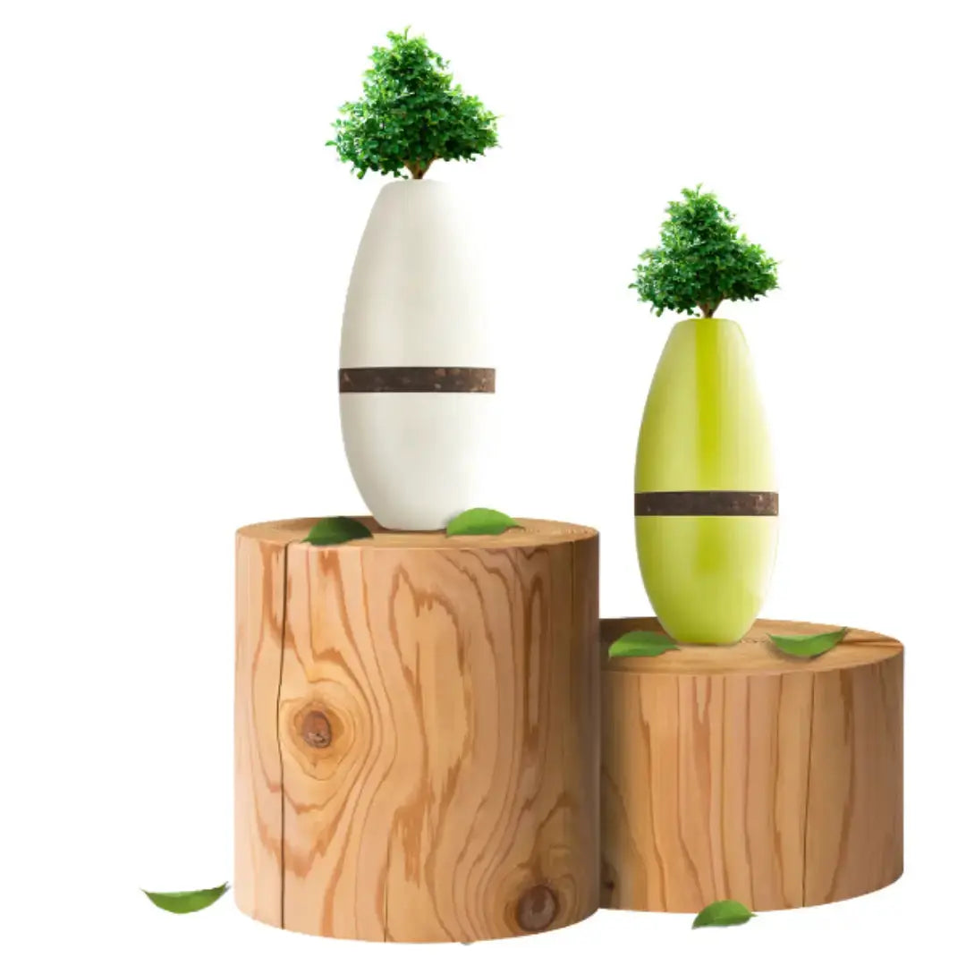 Biotree Urn for People   | Canine & Co