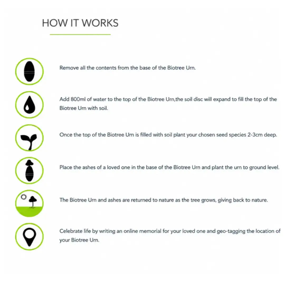 Biotree Urn for People   | Canine & Co