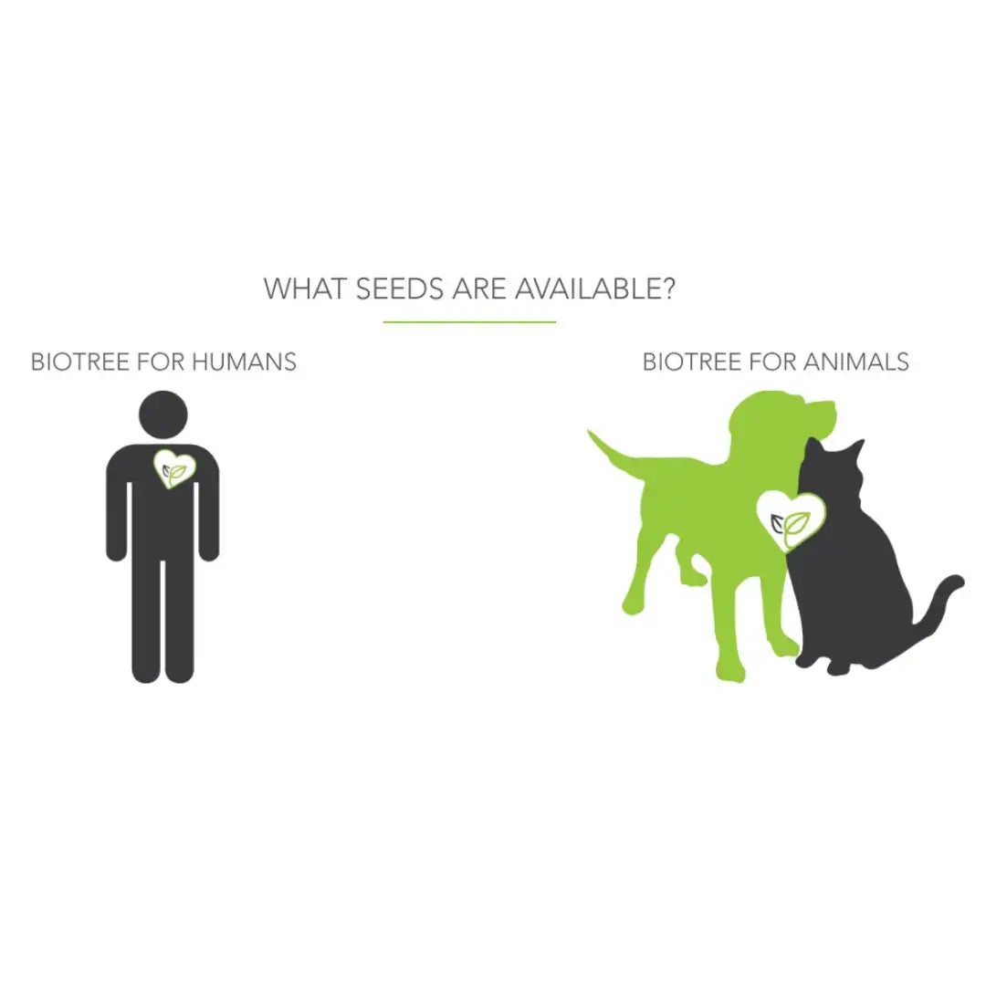 Biotree Urn for People   | Canine & Co