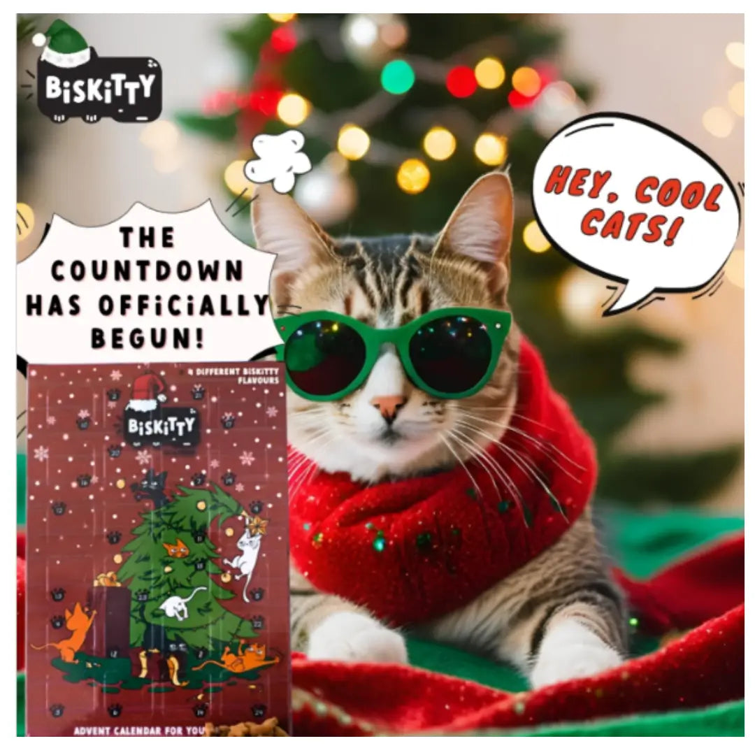 Biskitty Christmas Advent Calendar Cat Treat
