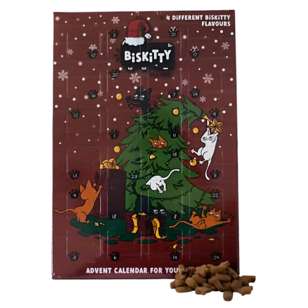 Biskitty Christmas Advent Calendar Cat Treat