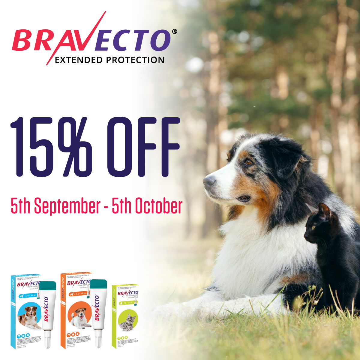 Save 15% on Bravecto!