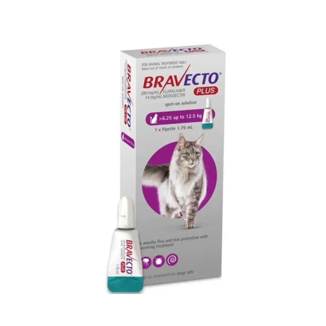 Bravecto Plus Spot-On for Cats   | Canine & Co