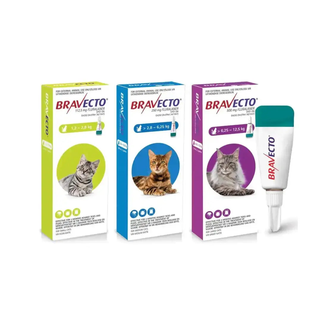 Bravecto Spot-On Tick & Flea Treatment for Cats   | Canine & Co