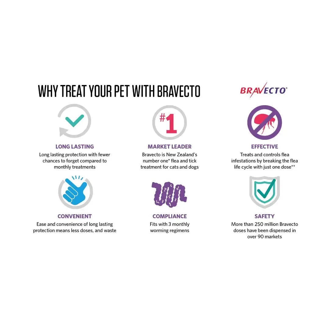 Bravecto Spot-On Tick & Flea Treatment for Cats   | Canine & Co