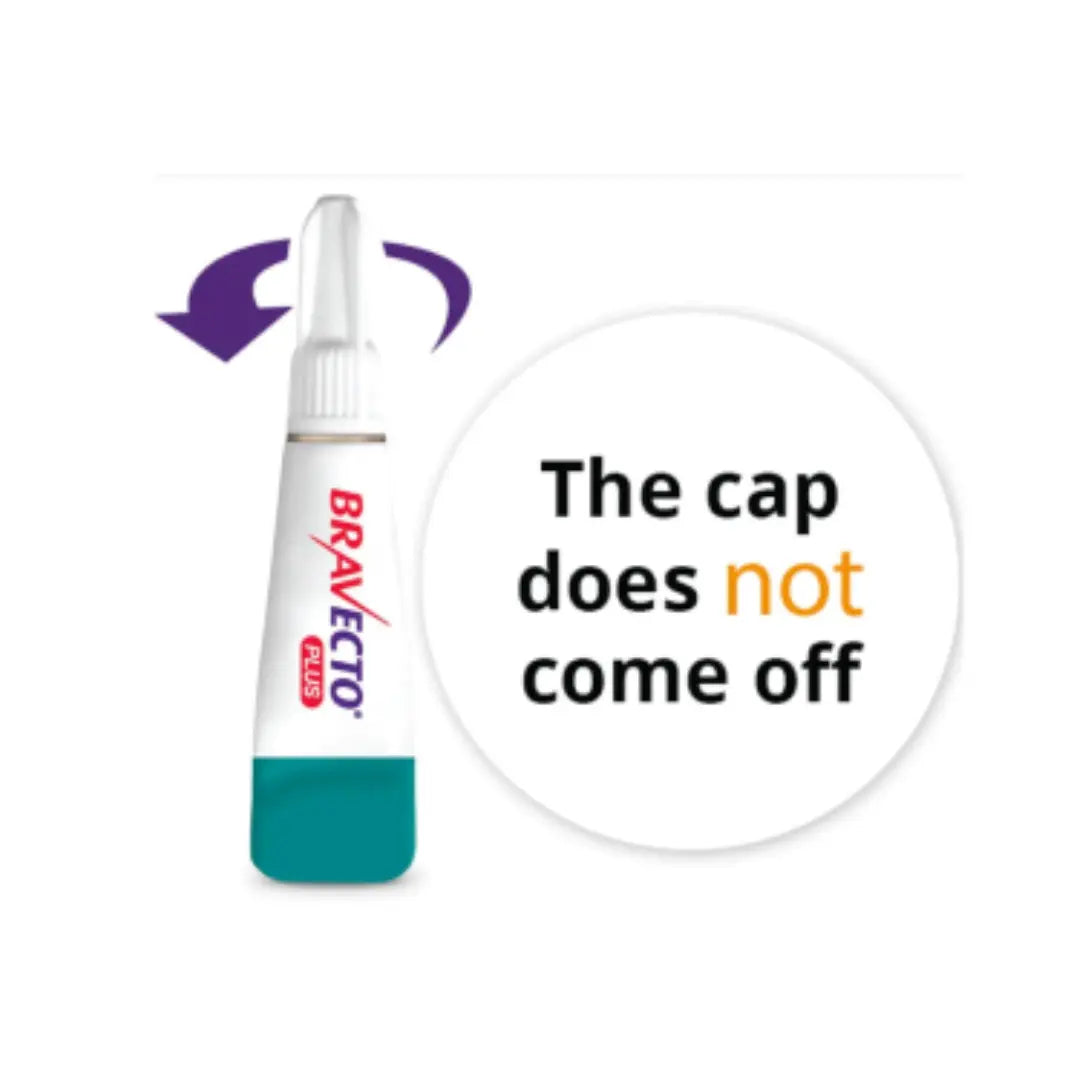 Bravecto Spot-On Tick & Flea Treatment for Cats   | Canine & Co