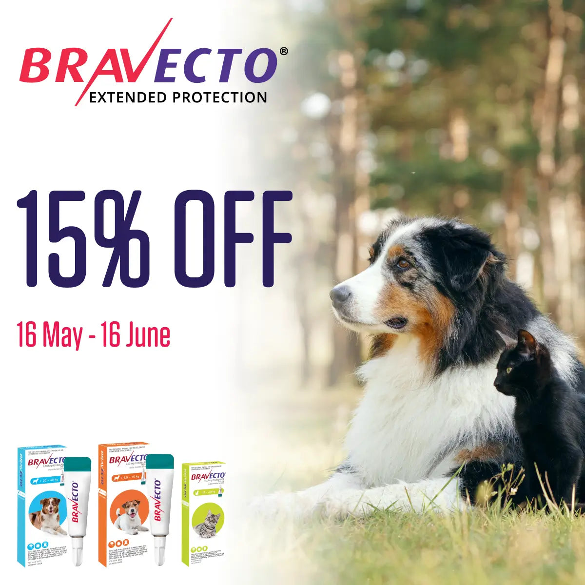 Save 15% on Bravecto
