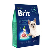 Premium cat food bag featuring sensitive lamb recipe for delicate feline diets.